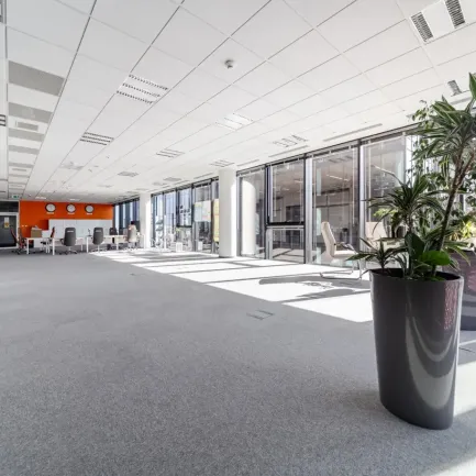 Alchemia II (Ferrum, Titanium)